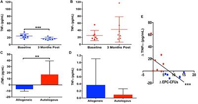 Mesenchymal Stem Cell Secretion of SDF-1α Modulates Endothelial Function in Dilated Cardiomyopathy